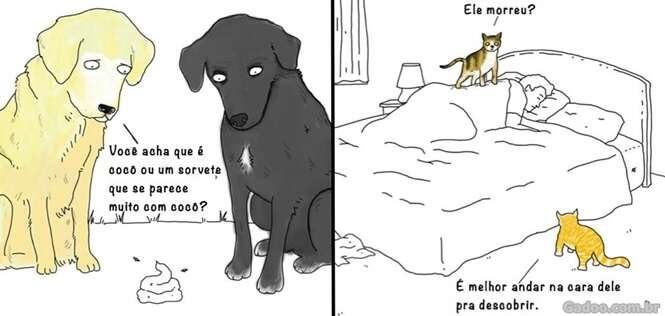 O que os animais diriam se pudessem falar