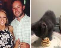 As pessoas estão enlouquecendo por este cara, que fez panquequinhas para seu gatinho de estimação