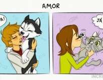 14 quadrinhos ilustrando a diferença de ter um cão e um gato