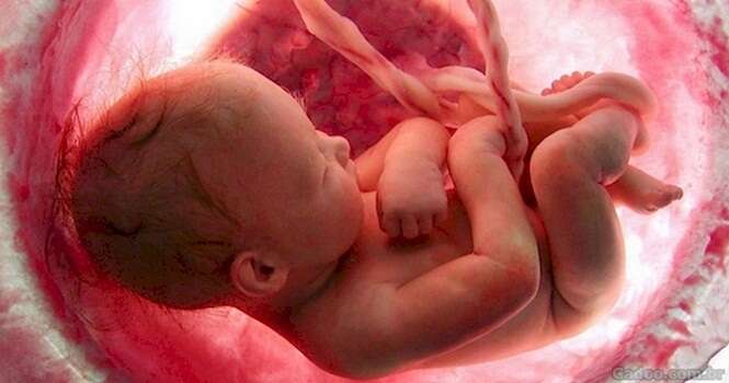 Este incrível vídeo mostra como um bebê se desenvolve no ventre