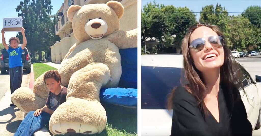 Ninguém queria comprar o urso de pelúcia desses gêmeos, até que Angelina Jolie resolveu o problema