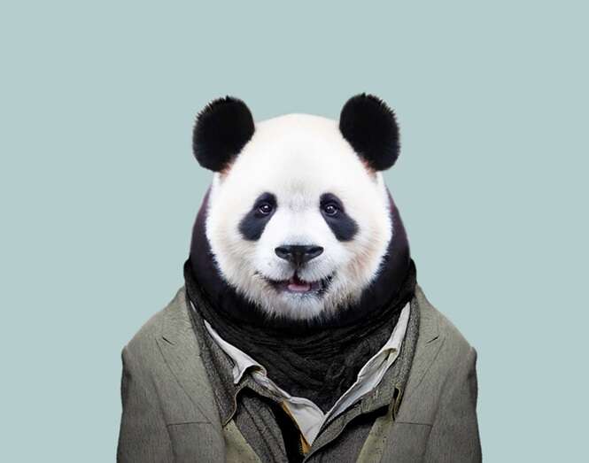 Foto: Bored Panda