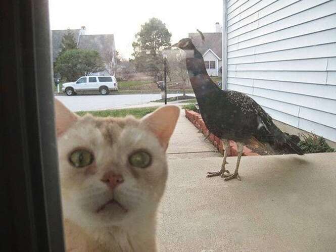 Foto: 