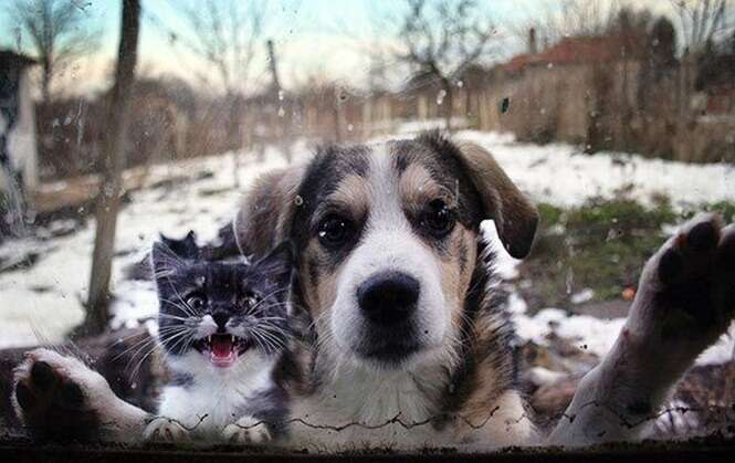 Foto: 