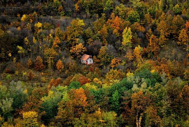 Foto: Bozhidar Baychev