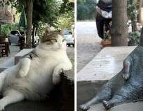 Gato mais famoso de Istambul é honrado com estátua própria em seu lugar favorito