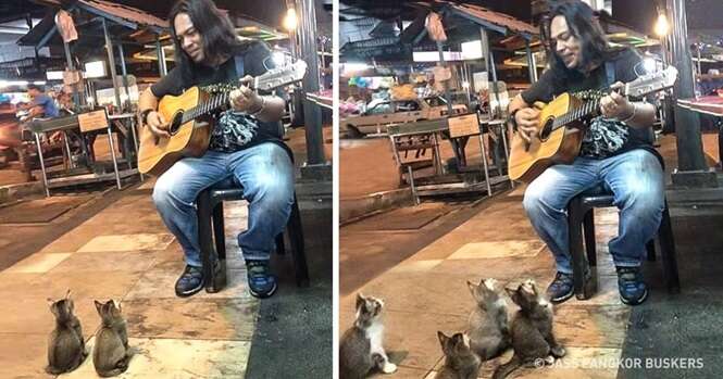 Vídeo: muitos passaram por este artista de rua, mas estes 4 gatinhos pararam Vídeo: muitos passaram por este artista de rua, mas estes 4 gatinhos pararam