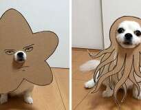 Japonesa cria 59 imagens divertidas usando papelão e seu cão