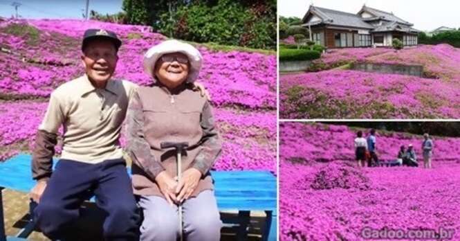 Este homem plantou milhares de flores para proporcionar a sua esposa cega um perfume muito especial