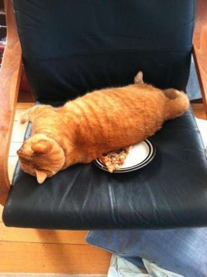 Foto: