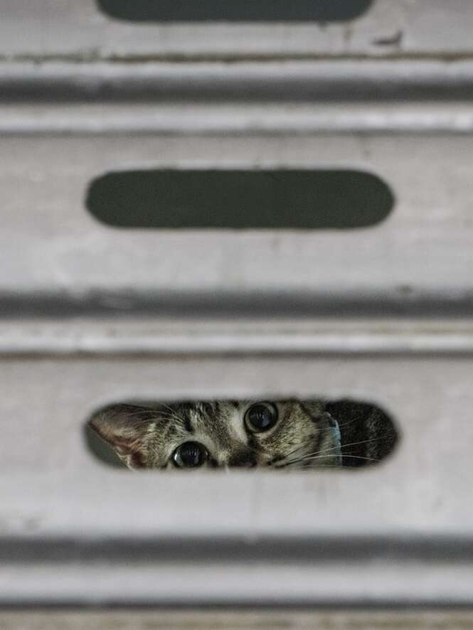 Foto: 