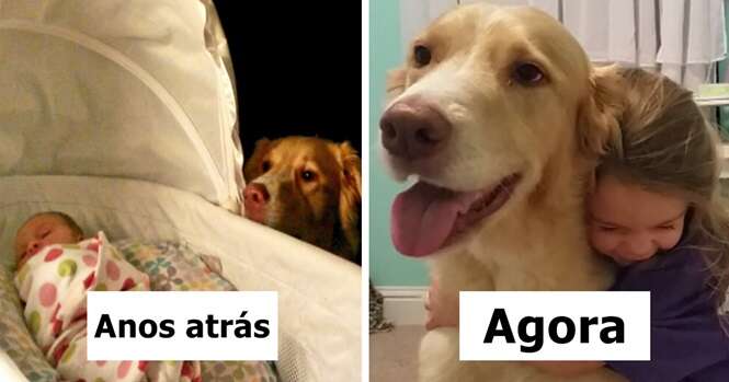 Fotos de cães e donos que cresceram juntos