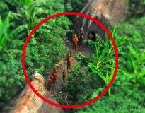 Cinco lugares misteriosos e fechados para visitação