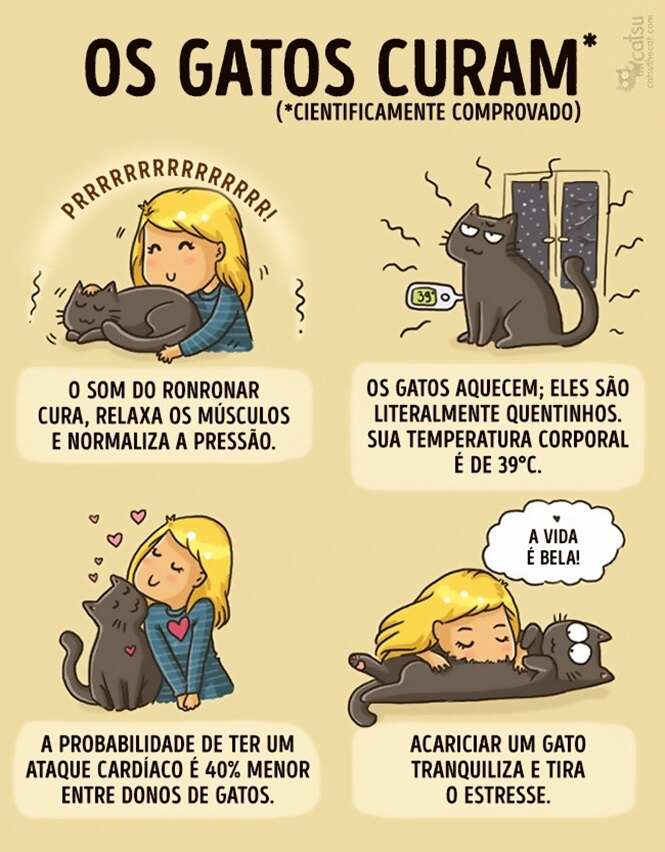 Foto: 