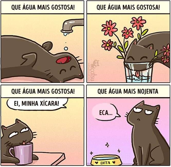 Foto: 