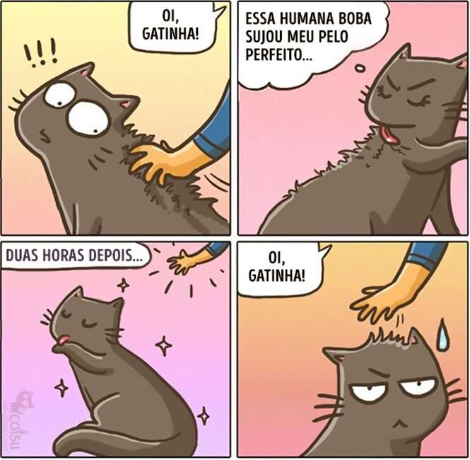 Foto: 
