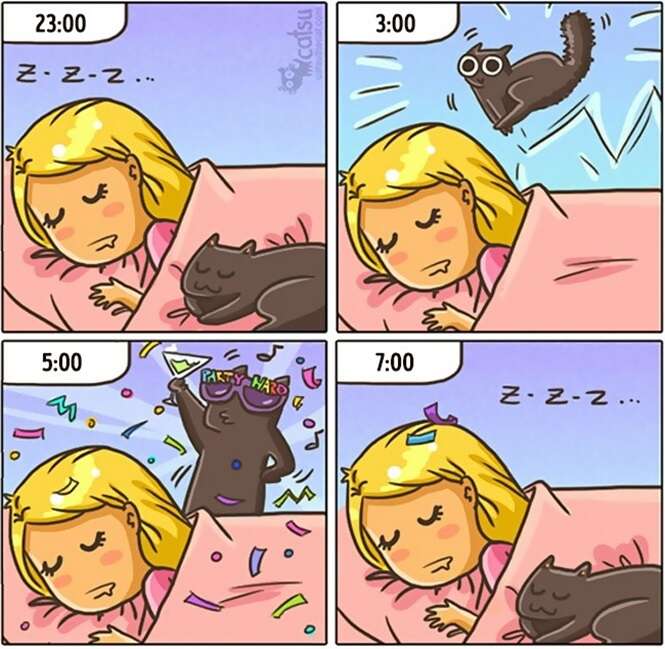 Foto: 