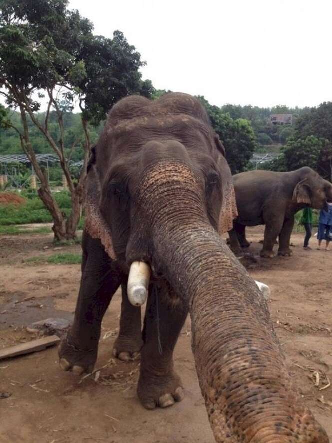 Foto: Tudo Interessante