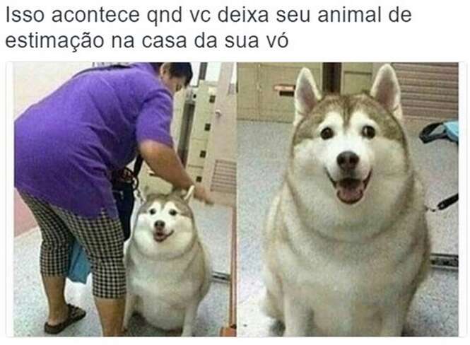 Foto: Tudo Interessante