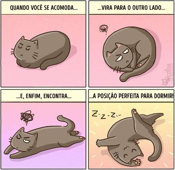 Foto: 