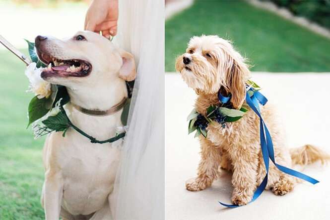 Estes 23 cães fofos em casamentos vão fazer você acreditar no amor
