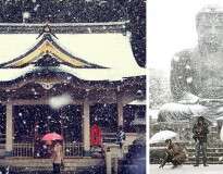 Após mais de 50 anos, volta a nevar em Tóquio no mês de novembro, e você confere belas imagens