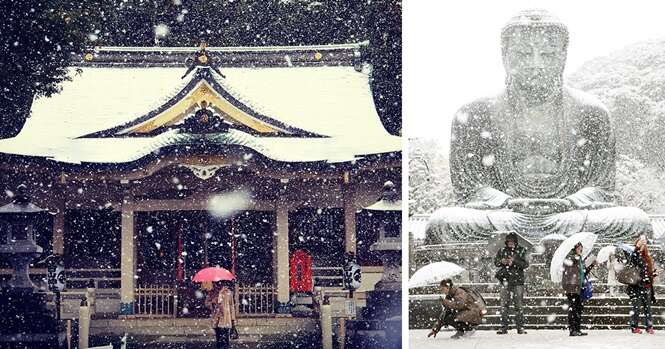 Após mais de 50 anos, volta a nevar em Tóquio no mês de novembro e você confere belas imagens