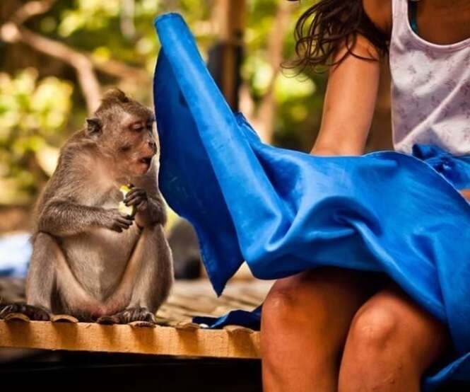 Fotos que vão fazer você vai olhar duas vezes para elas