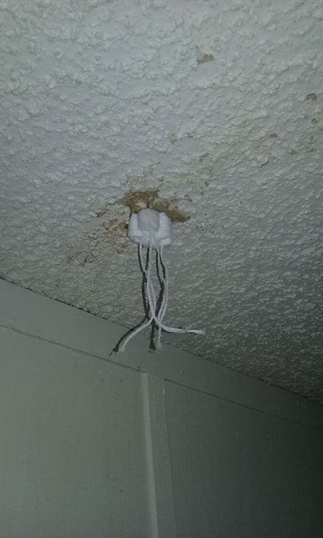 Foto: 