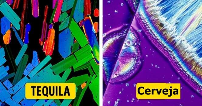 Bebidas alcóolicas que parecem obras de arte quando vistas ao microscópio