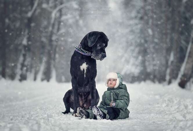 Foto: 