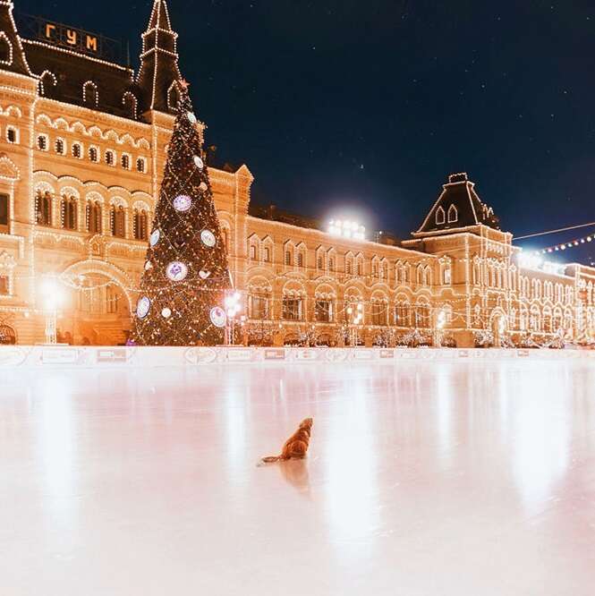 Foto: Кристина Макеева