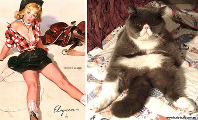 Gatos imitando modelos pin-up