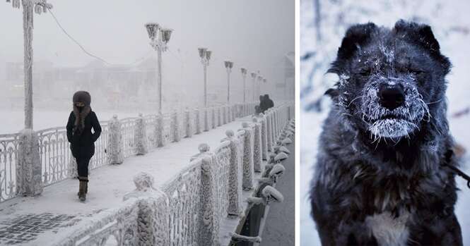 Fotógrafo viaja para a cidade mais fria do planeta, onde a temperatura pode alcançar 71,2º C negativos, e faz imagens surpreendentes