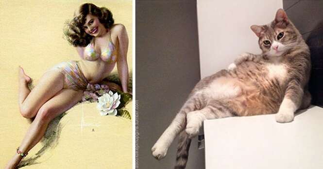 Imagens hilárias de gatos “imitando” mulheres