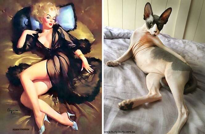 Foto: catsthatlooklikepinupgirls