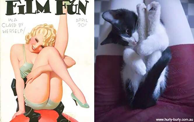 Foto: catsthatlooklikepinupgirls