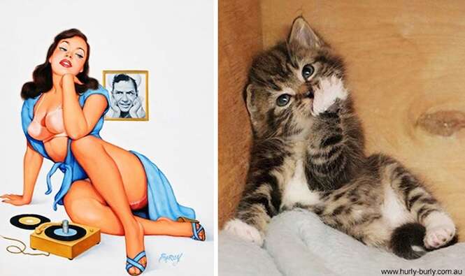 Foto: catsthatlooklikepinupgirls