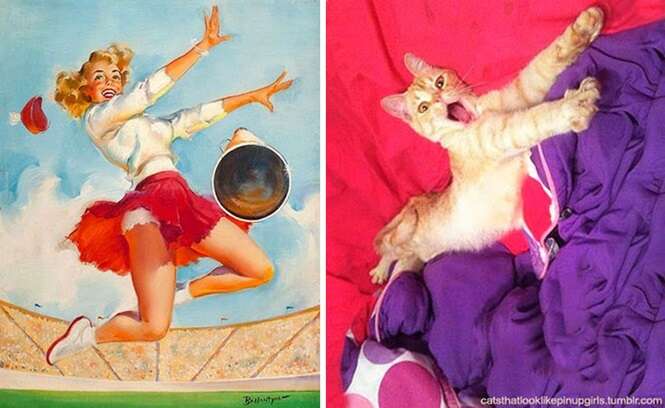 Foto: catsthatlooklikepinupgirls