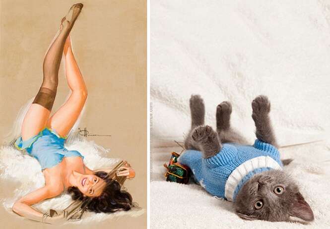 Foto: catsthatlooklikepinupgirls