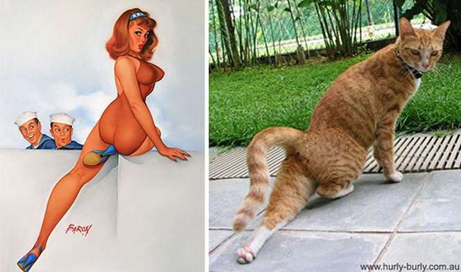 Foto: catsthatlooklikepinupgirls