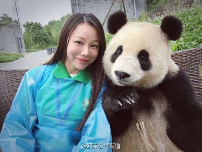 Panda conquista internet após fazer poses para selfies com turista