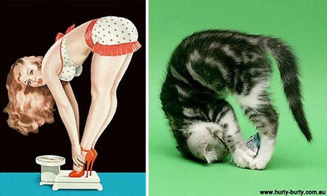 Foto: catsthatlooklikepinupgirls