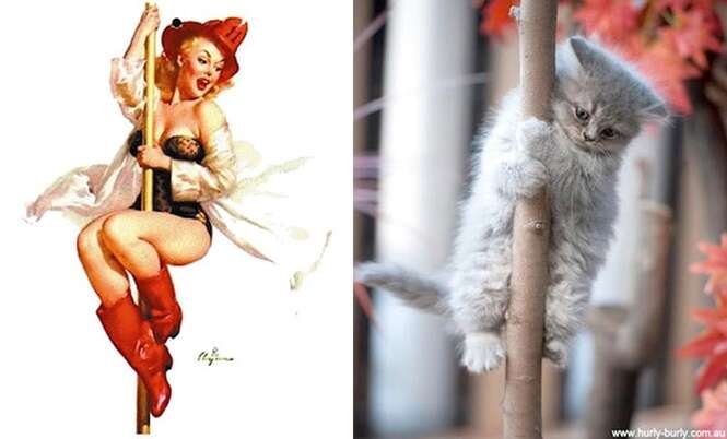 Foto: catsthatlooklikepinupgirls