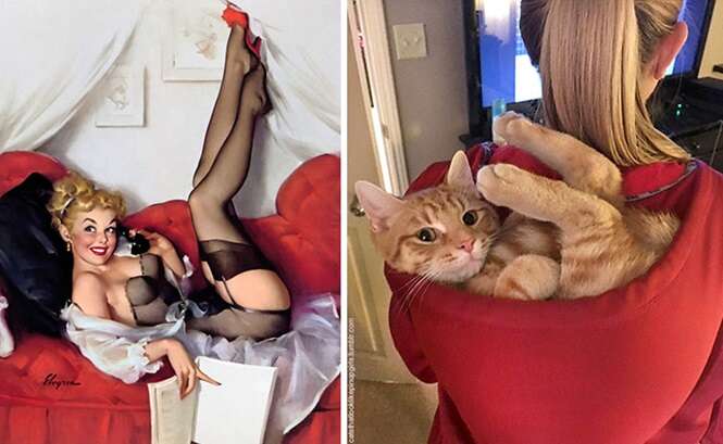 Foto: catsthatlooklikepinupgirls