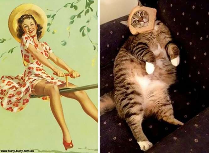 Foto: catsthatlooklikepinupgirls