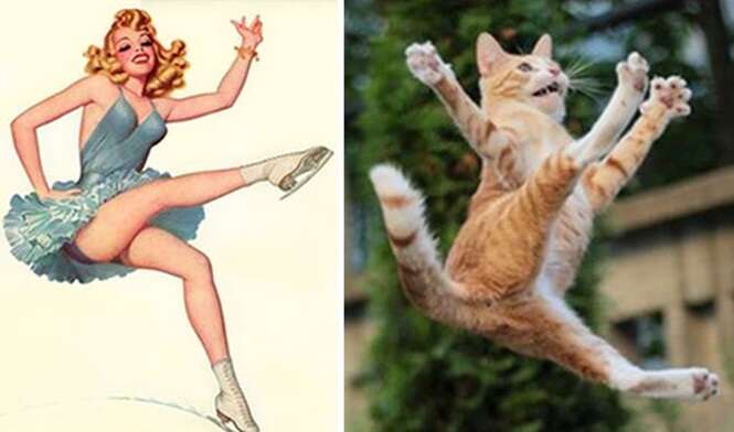 Foto: catsthatlooklikepinupgirls