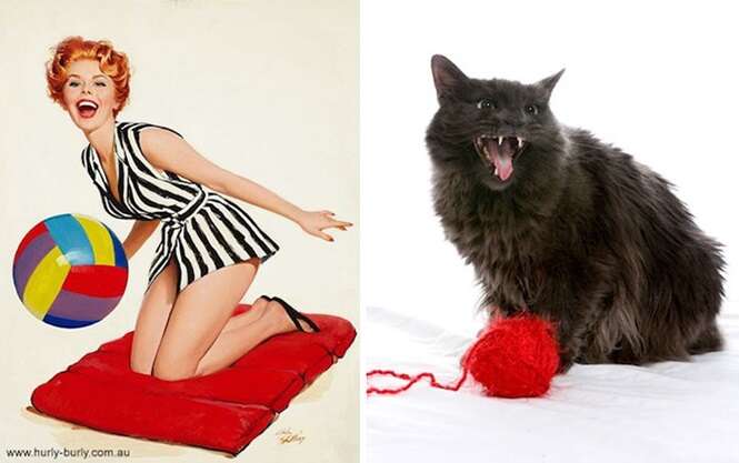 Foto: catsthatlooklikepinupgirls