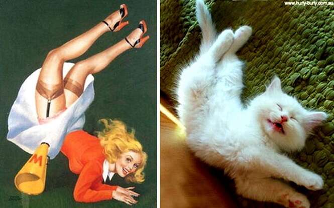 Foto: catsthatlooklikepinupgirls