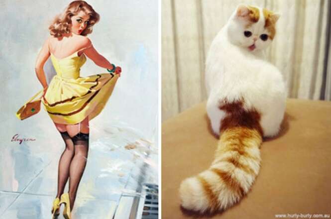 Foto: catsthatlooklikepinupgirls